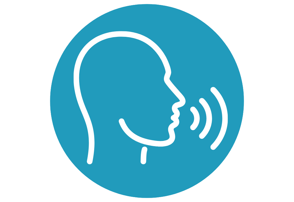 DSD Multi-Language Enhancements